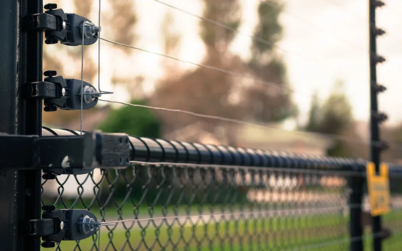 Close-up of a Gallagher monitored pulse fence mounted above a chain-link fence
